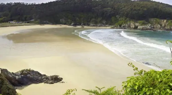Paisaje de las calas de Lugo: playa dorada, mar turquesa y bosque frondoso.