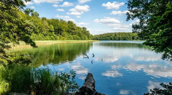 Idyllischer See mit bewaldeten Ufern, ein Ort zum Entspannen, den man in der Nähe von Berlin gesehen haben muss.