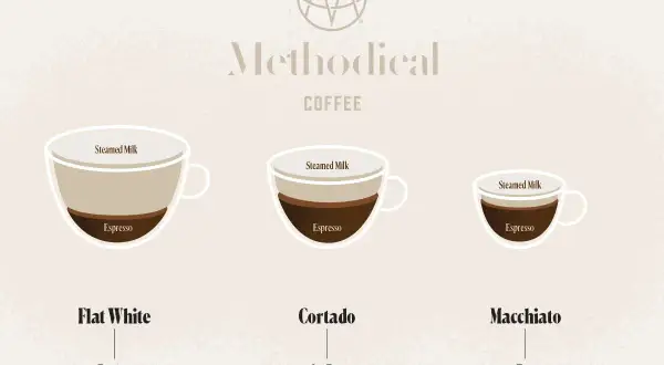 Illustration visar skillnaden mellan macchiato vs cortado, med olika mängder espresso och ångad mjölk i tre kaffetyper.