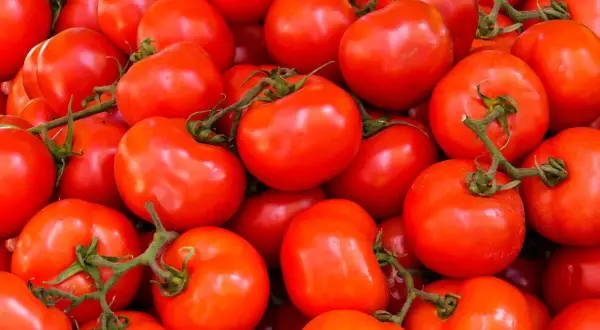 Ile kcal ma pomidorowa? Zaskakująca prawda o zupie pomidorowej