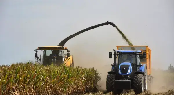 Żółta sieczkarnia zbiera kukurydzę, a niebieski traktor z przyczepą czeka na uzupełniającą płatność podstawową.