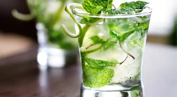 Un verre de virgin mojito rafraîchissant, rempli de glaçons, menthe fraîche et rondelles de citron vert.