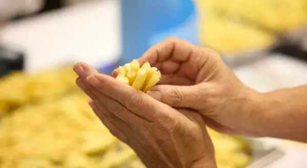 McDonald's Frytki: Jaki tłuszcz w Polsce? Skład i sekrety produkcji