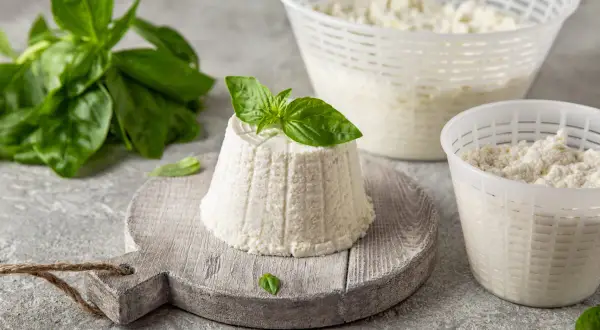 Jak wygląda ser ricotta: świeży, biały serek w kształcie stożka, ozdobiony listkiem bazylii, obok naczynia z serem i gałązka bazylii.