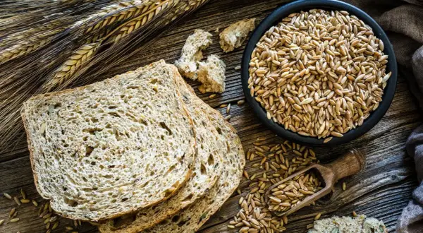 Vollkornbrot mit Dinkel oder Roggen, Körner in einer Schüssel und auf einem Löffel. Gut für Diabetes.