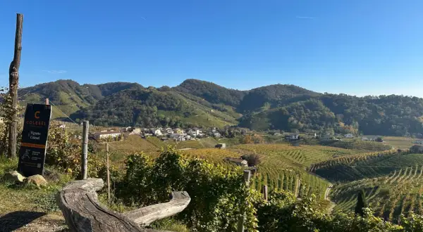 Wzgórza winnic w Conegliano, gdzie powstaje najdroższe prosecco. Widok na malowniczą wioskę i pola winorośli.