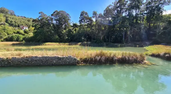 Paisaje sereno con aguas turquesas y vegetación exuberante, ideal para explorar las **rutas lekeitio**.