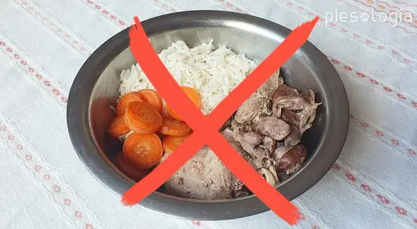 Gotowana wołowina dla psa: Jak przygotować ją bezpiecznie i zdrowo?