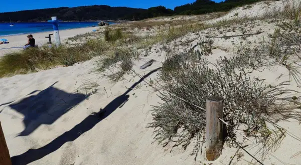 Dunas de arena y vegetación en la playa de Rodeira, con el mar azul y una persona sentada al fondo.