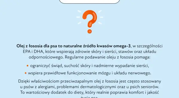 Olej z łososia dla psa to naturalne źródło kwasów omega-3, wspierające skórę, sierść i stawy. Pomaga ograniczyć świąd i wypadanie sierści.