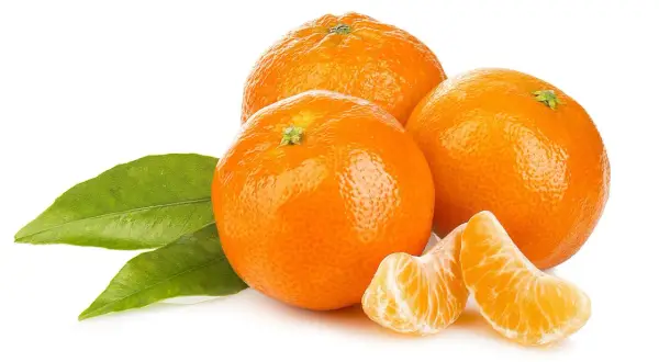Mandarine : 9g de sucre, un atout pour votre glycémie ?