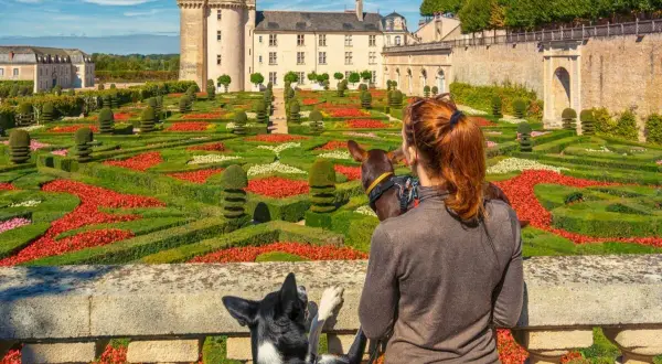 Femme et deux chiens admirant un château et un jardin à la française coloré.