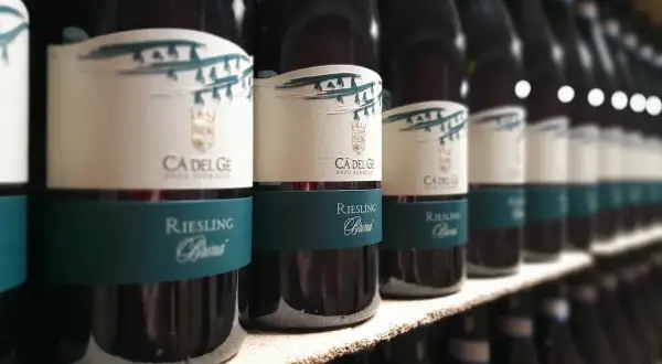 Bottiglie di vini oltrepò pavese, Riesling Brina, in fila su uno scaffale.