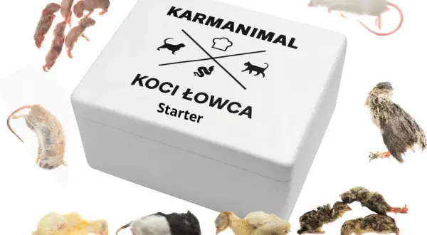 Karmianimal Koci Łowca Starter: zestaw whole prey z myszami, pisklętami i przepiórkami.
