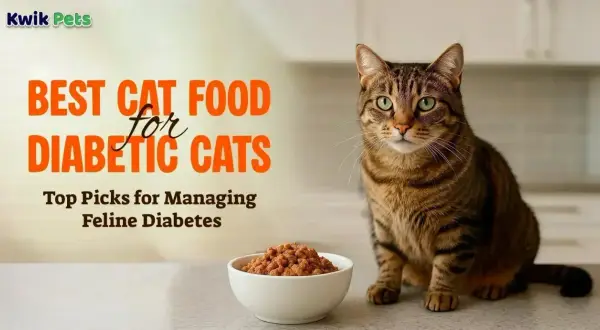 A tabby cat sits beside a bowl of kibble, with text reading "BEST CAT FOOD for DIABETIC CATS" and "Top Picks for Managing Feline Diabetes.