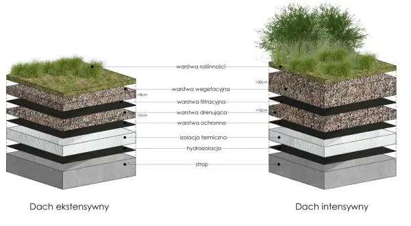 Schemat dwóch typów zielonych dachów: ekstensywnego i intensywnego. Pokazuje warstwy budowy, od stropu po roślinność, tworząc zielony ogród na dachu.