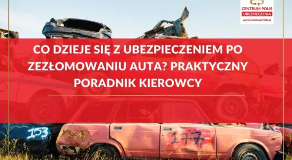 Złomowanie auta a OC: praktyczny poradnik kierowcy. Na złomowisku piętrzą się wraki samochodów, a niebo jest błękitne.