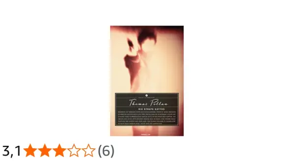 Buchcover "Die Strafe Gottes" von Thomas Pollan. Ein Mann im Schatten, vielleicht ein Opfer oder Täter, im Zentrum.