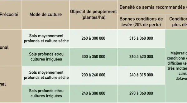 Tableau comparant la densité de semis de sorgho selon le groupe de précocité, le mode de culture et les conditions de levée.
