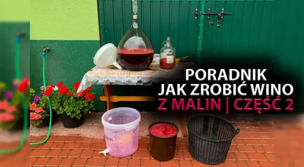 Jak zrobić wino malinowe - proste przepisy i najczęstsze błędy