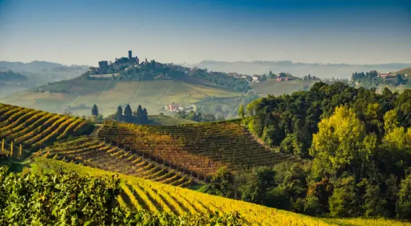 Colline dorate di vigneti nei **Langhe e Roero**, con un borgo medievale in lontananza sotto un cielo azzurro.