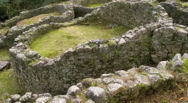 Ruinas circulares de piedra cubiertas de musgo y hierba en el **castro de Troña**, con vegetación verde al fondo.