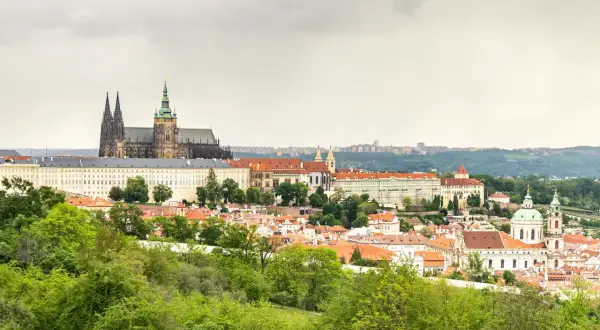 Widok na Zamek Praski i miasto z zielonymi drzewami na pierwszym planie.