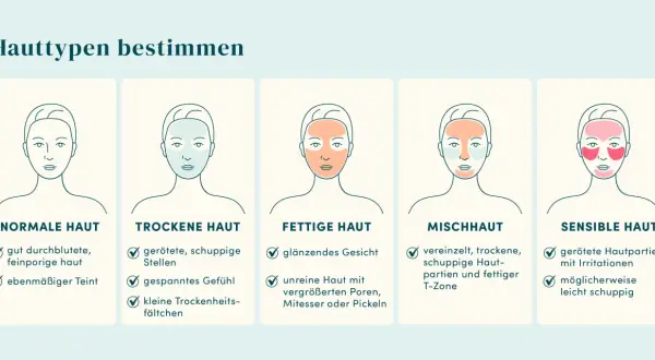 Illustrationen zeigen, wie finde ich meinen hauttyp heraus: normale, trockene, fettige, Mischhaut und sensible Haut mit typischen Merkmalen.