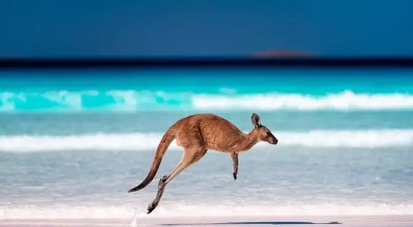 Ile trwa lot z Warszawy do Australii? Sprawdź, zanim zarezerwujesz!