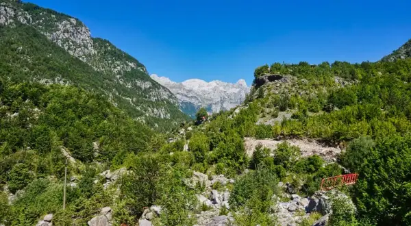 Grüne Hänge und felsige Gipfel in den albanischen Alpen unter strahlend blauem Himmel. Ein kleiner roter Steg führt über einen steinigen Bachlauf.