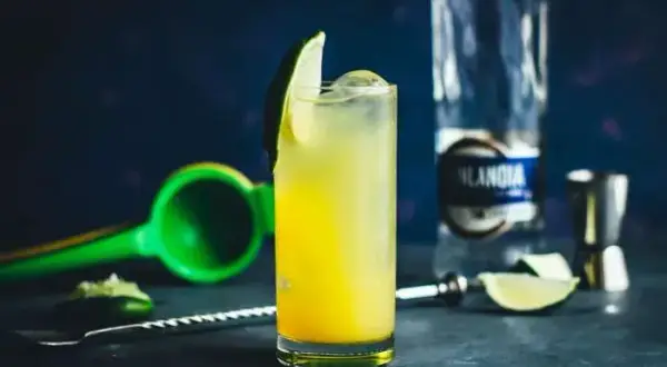 Pyszne drinki z wódką kokosową, które zachwycą Twoich gości