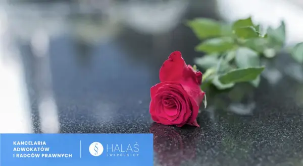 Czerwona róża na kamieniu. Potrzebujesz pomocy, co zrobić z dokumentami po zmarłej osobie? Kancelaria prawna HALAŚ i wspólnicy.
