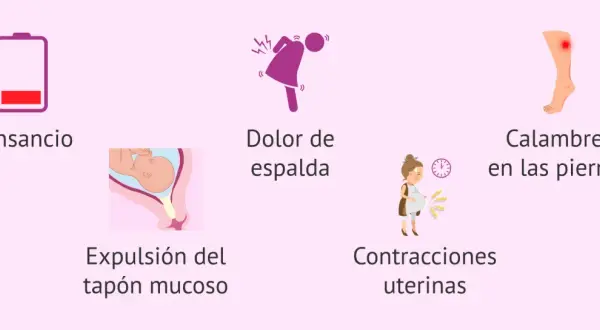 Cansancio, dolor de espalda, calambres, contracciones y expulsión del tapón mucoso. ¡Se acerca el momento!