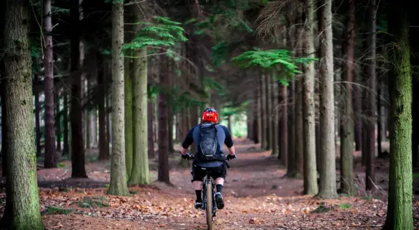 Rowerzysta w kasku jedzie leśną ścieżką. To idealne miejsce na odkrywanie tras rowerowych w Polsce.