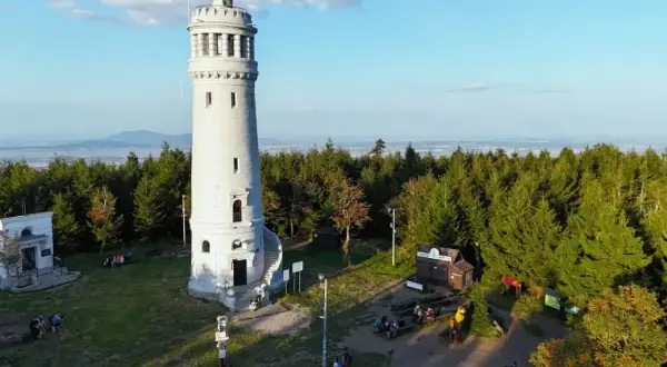 Wieża widokowa na szczycie góry, otoczona lasem. To **najładniejszy szlak**, gdzie można spotkać **wielką sowę** w postaci rzeźby.