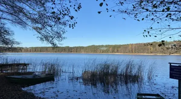 Działki rekreacyjne nad jeziorem Lubuskie – idealne na wakacje i inwestycje