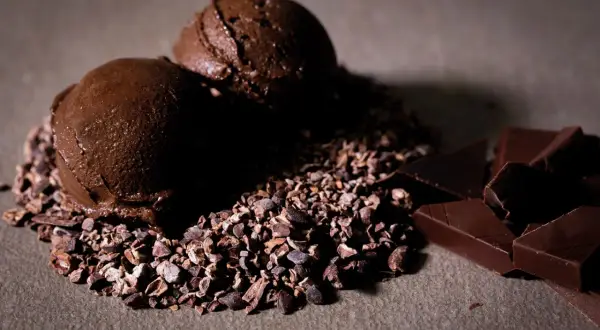 Due palline di cremoso gelato cioccolato su un letto di granella di cacao, con pezzi di cioccolato fondente a lato.