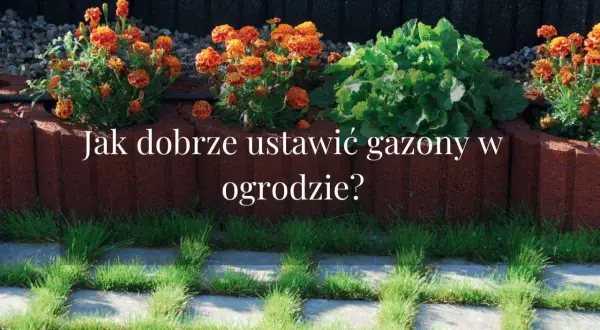 Piękne gazony ogrodowe aranżacje z pomarańczowymi aksamitkami i zielonymi roślinami. Dowiedz się, jak je ustawić.