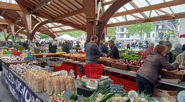 Marché animé à Brive-la-Gaillarde, avec des étals colorés de légumes frais. Idéal pour savoir que faire à Brive-la-Gaillarde !