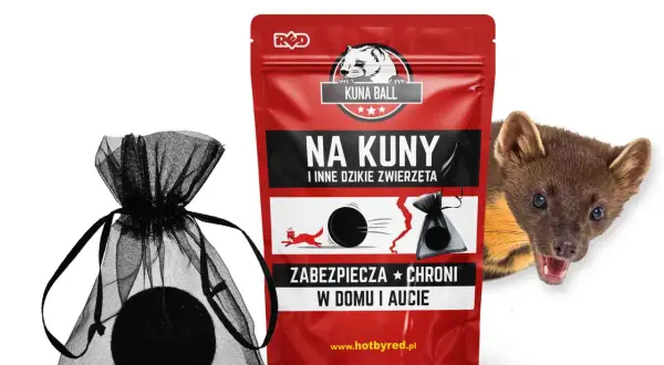 Kuny w samochodzie? Poznaj skuteczne sposoby i koszty!