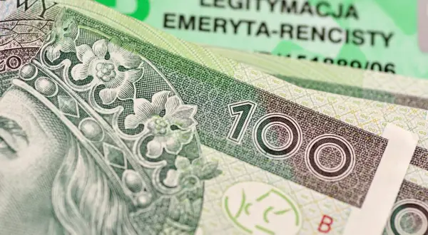 Złotówki i legitymacja emeryta-rencisty. Czy komornik może zająć rentę rodzinną po mężu?