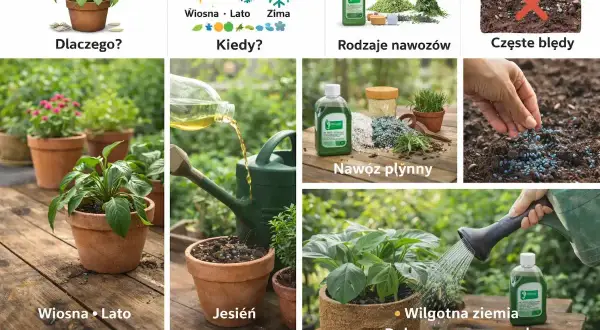 Pielęgnacja roślin: od wiosny do jesieni, różne rodzaje nawozów, w tym płynne, i jak unikać błędów. Gnojówka może być naturalnym nawozem.