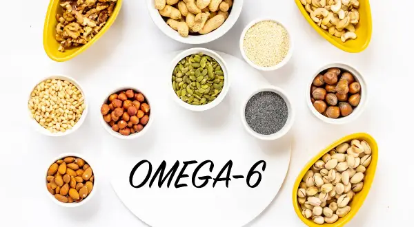 Noci, semi e arachidi, ricchi di omega 6, disposti in ciotole su sfondo bianco.