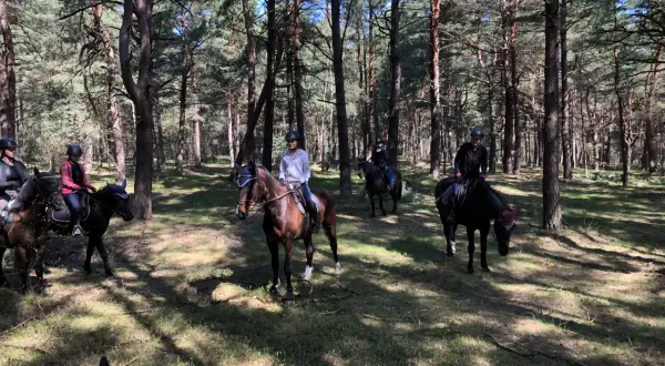 Jazda konna w lesie, gdzie stajnia rancho pasja oferuje niezapomniane przeżycia.