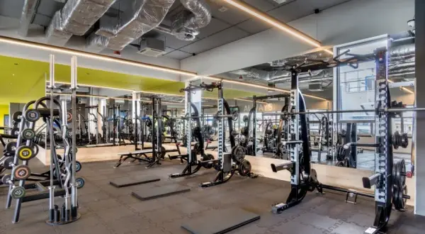 My Fitness Place Galeria Kazimierz: Siłownia, Cennik, Grafik | Kraków
