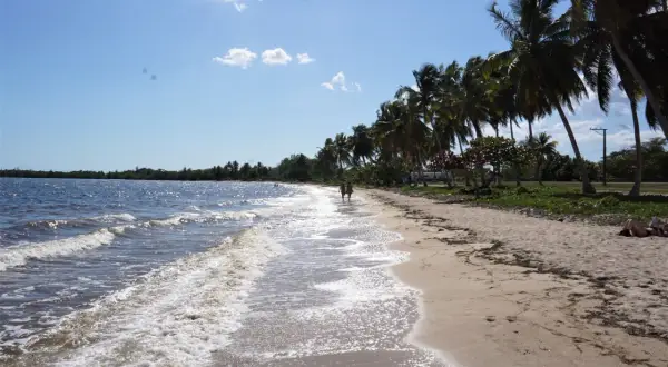 Piękna plaża z palmami, fale obmywają brzeg. Idealne miejsce, by zapytać: Kuba, kiedy jechać?