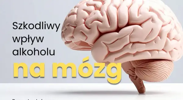 Alkoholizm: choroba psychiczna? Zobacz, co dzieje się w mózgu