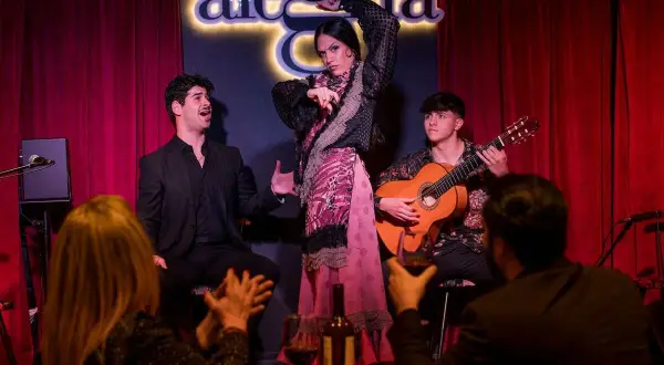 Actuación de grupos flamencos andaluces: bailaora, cantaor y guitarrista en un escenario con cortinas rojas y el letrero "alegría".