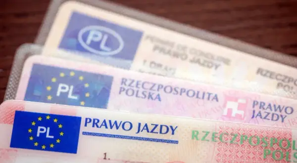 Kilka polskich praw jazdy, pokazujących różne kategorie prawa jazdy.