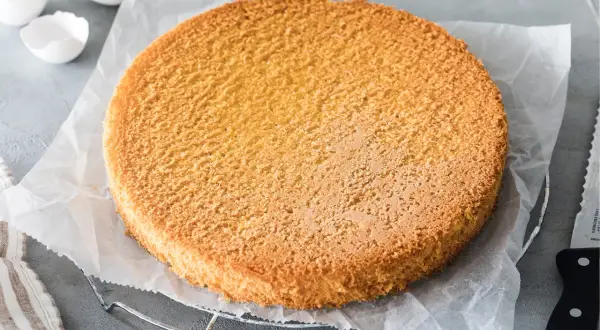 Ein goldbrauner, luftiger Tortenboden liegt auf Backpapier. Perfekt für jedes Tortenboden Rezept.